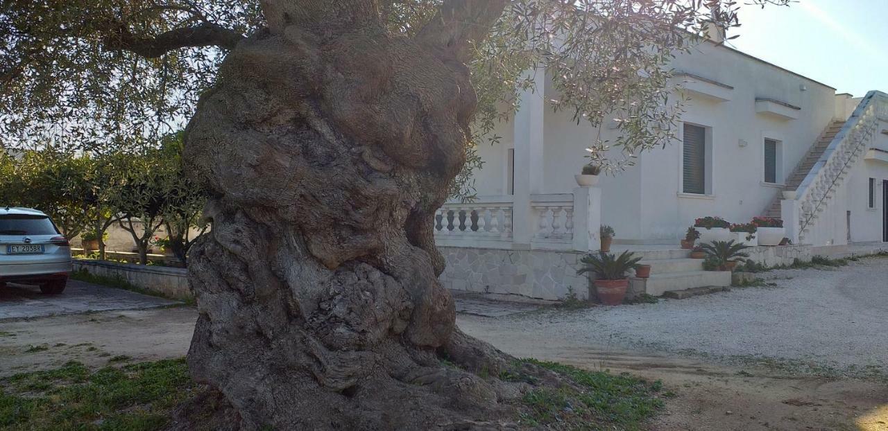 Le Stanze Di Casa Polinisso Guest House Каровиньо Екстериор снимка